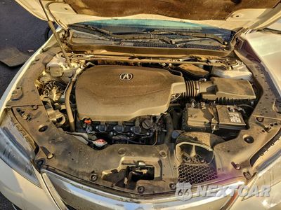 Zdjęcie 11 z 14 samochodu: 2015 ACURA TLX TECH VIN:19UUB3F58FA001465 - miniatura