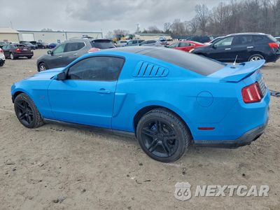 Drugie zdjęcie samochodu z przodu: 2010 FORD MUSTANG GT VIN:1ZVBP8CH4A5153177 - miniatura