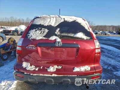 Zdjęcie 6 z 13 samochodu: 2008 HONDA CR-V LX VIN:3CZRE38338G702839 - miniatura