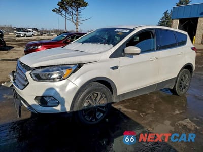2019 FORD ESCAPE SE 1FMCU9GD3KUC57644 - główne zdjęcie licytacji z USA - miniatura