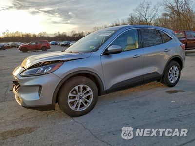 2021 FORD ESCAPE SE 1FMCU9G66MUA91513 - główne zdjęcie licytacji z USA - miniatura