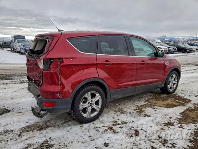 Trzecie zdjęcie samochodu z tyłu: 2015 FORD ESCAPE SE VIN:1FMCU0G74FUB40425 - miniatura