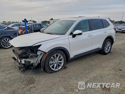 2024 HONDA CR-V EX 2HKRS3H48RH301934 - główne zdjęcie licytacji z USA - miniatura