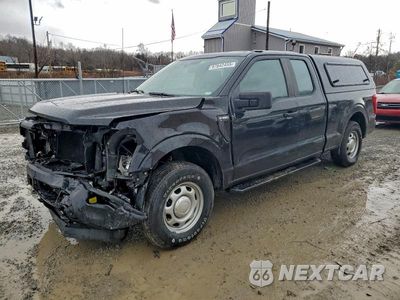 2021 FORD F150 SUPER CAB 1FTEX1EP5MKD86082 - główne zdjęcie licytacji z USA - miniatura
