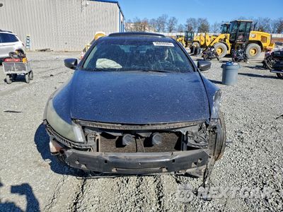 Piąte zdjęcie samochodu w środku: 2010 HONDA ACCORD EXL VIN:1HGCS1B81AA016009 - miniatura