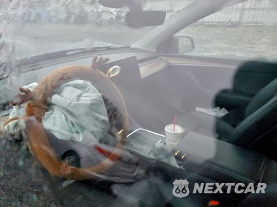 Zdjęcie 9 z 13 samochodu: 2024 TESLA MODEL Y VIN:7SAYGDED0RF179210 - miniatura