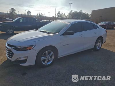 2024 CHEVROLET MALIBU LS 1G1ZC5ST1RF127197 - główne zdjęcie licytacji z USA - miniatura
