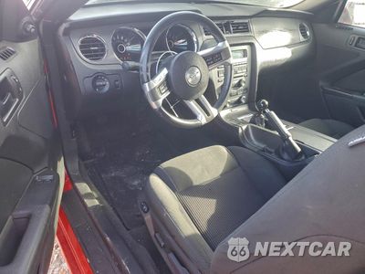Zdjęcie 8 z 12 samochodu: 2014 FORD MUSTANG GT VIN:1ZVBP8CF9E5316491 - miniatura