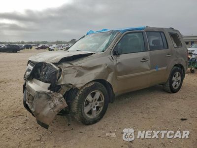2010 HONDA PILOT EXL 5FNYF4H5XAB011695 - główne zdjęcie licytacji z USA - miniatura