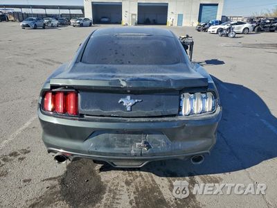 Zdjęcie 6 z 14 samochodu: 2015 FORD MUSTANG VIN:1FA6P8AM6F5349901 - miniatura
