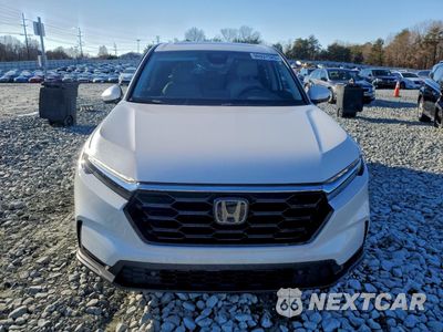 Piąte zdjęcie samochodu w środku: 2024 HONDA CR-V EXL VIN:2HKRS3H73RH330932 - miniatura