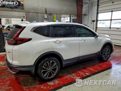 Trzecie zdjęcie samochodu z tyłu: 2022 HONDA CR-V EXL VIN:7FARW2H81NE036563 - miniatura