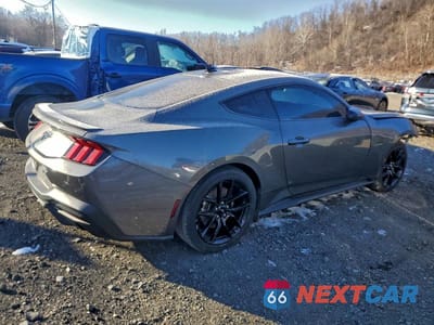 Trzecie zdjęcie samochodu z tyłu: 2024 FORD MUSTANG VIN:1FA6P8TH0R5112535 - miniatura