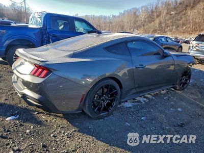 Trzecie zdjęcie samochodu z tyłu: 2024 FORD MUSTANG VIN:1FA6P8TH0R5112535 - miniatura