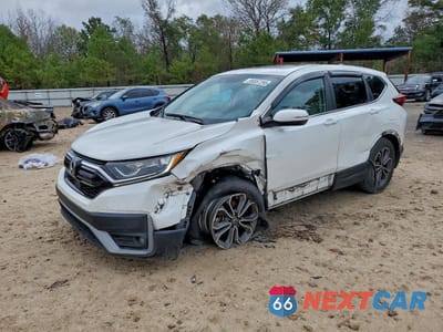 2020 HONDA CR-V EX 5J6RW1H58LL008016 - główne zdjęcie licytacji z USA - miniatura