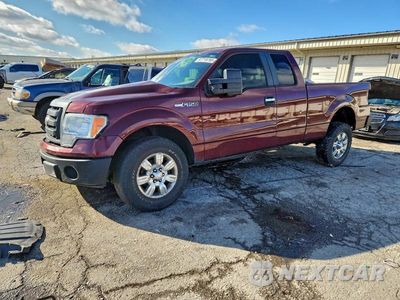 2009 FORD F150 SUPER CAB 1FTRX12V89FB18499 - główne zdjęcie licytacji z USA - miniatura