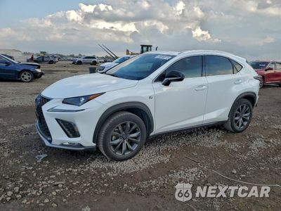 2021 LEXUS NX 300 BASE JTJSARBZ9M5026916 - główne zdjęcie licytacji z USA - miniatura