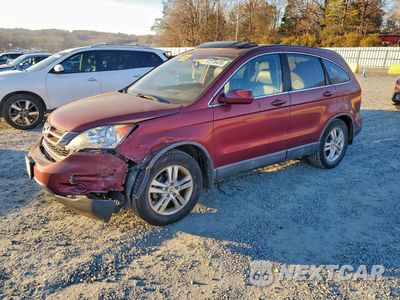 2010 HONDA CR-V EXL 5J6RE4H79AL020369 - główne zdjęcie licytacji z USA - miniatura