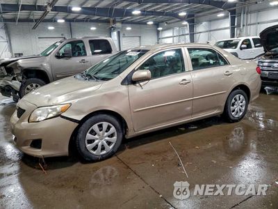 2010 TOYOTA COROLLA BASE 2T1BU4EE2AC495110 - główne zdjęcie licytacji z USA - miniatura