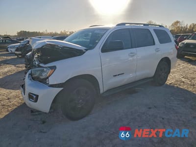 2019 TOYOTA SEQUOIA TRD SPORT 5TDZY5G12KS073172 - główne zdjęcie licytacji z USA - miniatura