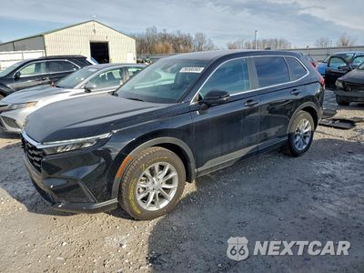 2024 HONDA CR-V EXL 7FARS4H78RE011230 - główne zdjęcie licytacji z USA - miniatura