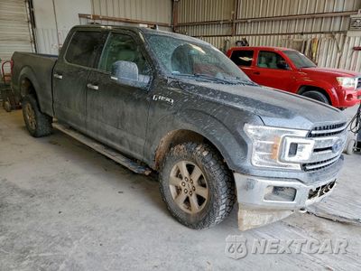 Czwarte zdjęcie samochodu z boku: 2020 FORD F150 SUPERCREW VIN:1FTFW1E59LKE45428 - miniatura