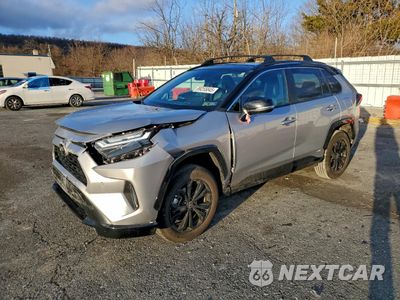 2025 TOYOTA RAV4 XSE 2T3E6RFV2SW089287 - główne zdjęcie licytacji z USA - miniatura