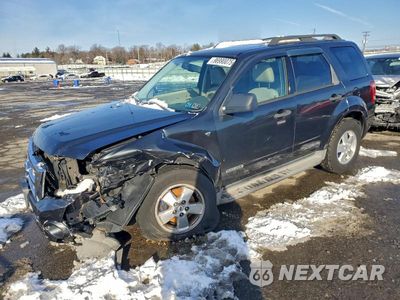 2008 FORD ESCAPE XLT 1FMCU93198KB26752 - główne zdjęcie licytacji z USA - miniatura