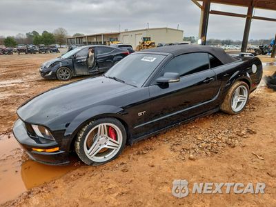 2006 FORD MUSTANG GT 1ZVFT85H565138978 - główne zdjęcie licytacji z USA - miniatura