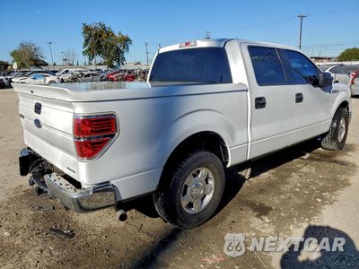 Trzecie zdjęcie samochodu z tyłu: 2013 FORD F150 SUPERCREW VIN:1FTEW1CM8DKE94191 - miniatura