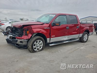 2013 FORD F150 SUPERCREW 1FTFW1CT8DFB16781 - główne zdjęcie licytacji z USA - miniatura