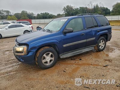 2004 CHEVROLET TRAILBLAZE 1GNDS132442141380 - główne zdjęcie licytacji z USA - miniatura
