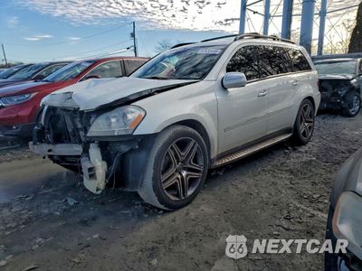 2009 MERCEDES-BENZ GL 450 4MATIC 4JGBF71E39A529178 - główne zdjęcie licytacji z USA - miniatura
