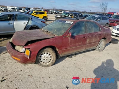 2004 HONDA ACCORD EX 1HGCD5658VA193177 - główne zdjęcie licytacji z USA - miniatura