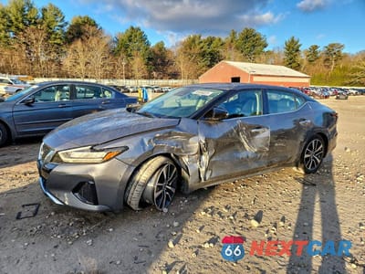 2023 NISSAN MAXIMA SV 1N4AA6CV7PC504488 - główne zdjęcie licytacji z USA - miniatura