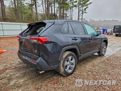 Trzecie zdjęcie samochodu z tyłu: 2025 TOYOTA RAV4 XLE VIN:4T3RWRFV0SU197005 - miniatura