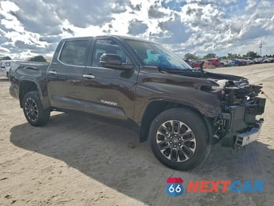 Czwarte zdjęcie samochodu z boku: 2025 TOYOTA TUNDRA CREWMAX LIMITED VIN:5TFJA5DB3SX320529 - miniatura