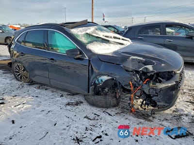 Czwarte zdjęcie samochodu z boku: 2025 FORD ESCAPE VIN:1FMCU0E14SUA46215 - miniatura