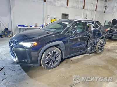 2020 LEXUS UX 250H JTHX9JBH4L2034155 - główne zdjęcie licytacji z USA - miniatura