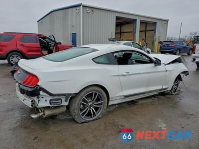 Trzecie zdjęcie samochodu z tyłu: 2019 FORD MUSTANG VIN:1FA6P8THXK5124696 - miniatura