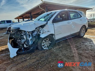 2019 CHEVROLET EQUINOX LS 3GNAXHEV7KS576075 - główne zdjęcie licytacji z USA - miniatura
