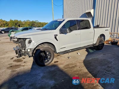 2024 FORD F150 XLT 1FTFW3LD9RFA87383 - główne zdjęcie licytacji z USA - miniatura