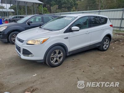 2014 FORD ESCAPE SE 1FMCU0GX1EUC61606 - główne zdjęcie licytacji z USA - miniatura