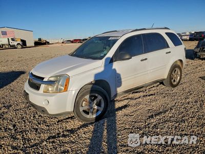 2007 CHEVROLET EQUINOX LS 2CNDL23F976021382 - główne zdjęcie licytacji z USA - miniatura