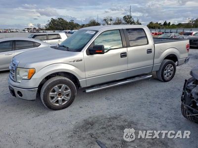 2013 FORD F150 SUPERCREW 1FTFW1CT4DKG47855 - główne zdjęcie licytacji z USA - miniatura