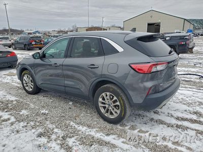 Drugie zdjęcie samochodu z przodu: 2021 FORD ESCAPE SE VIN:1FMCU9BZ8MUB27011 - miniatura
