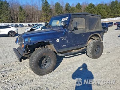 2002 JEEP WRANGLER / TJ X 1J4FA39S32P775538 - główne zdjęcie licytacji z USA - miniatura
