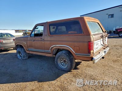 Drugie zdjęcie samochodu z przodu: 1981 FORD BRONCO U100 VIN:1FMDU15G8BLA63099 - miniatura