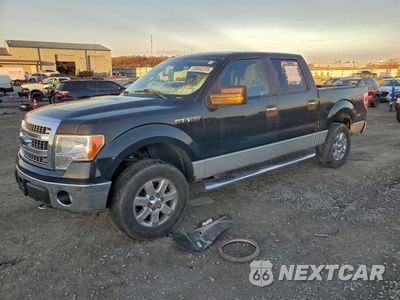 2013 FORD F150 SUPERCREW 1FTFW1EF2DFB00423 - główne zdjęcie licytacji z USA - miniatura