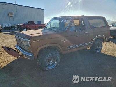 1981 FORD BRONCO 1FMDU15G8BLA63099 - główne zdjęcie licytacji z USA - miniatura